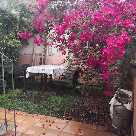 La Flora Apartament San Miguel de Abona